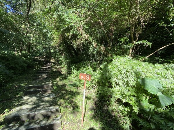 2023/12/14 碇內尖山 龍門山 五分山 淡蘭古道中路2399829