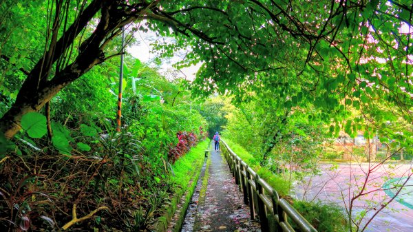 你若來汐止2961395