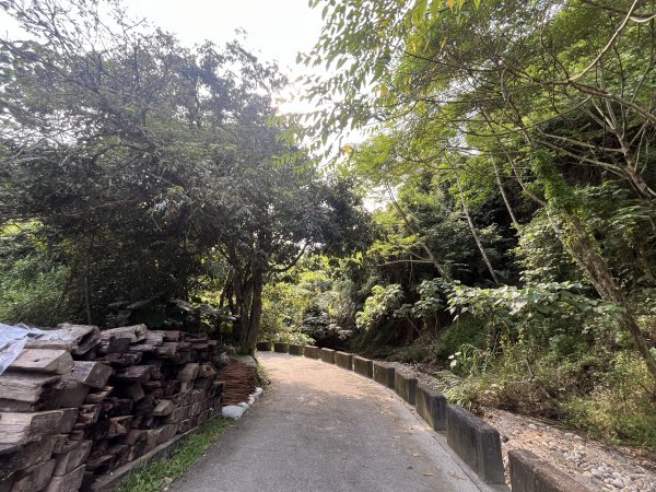 [百山百鳥尋旅-04/15] 2025_0817 龍過脈森林步道2863249