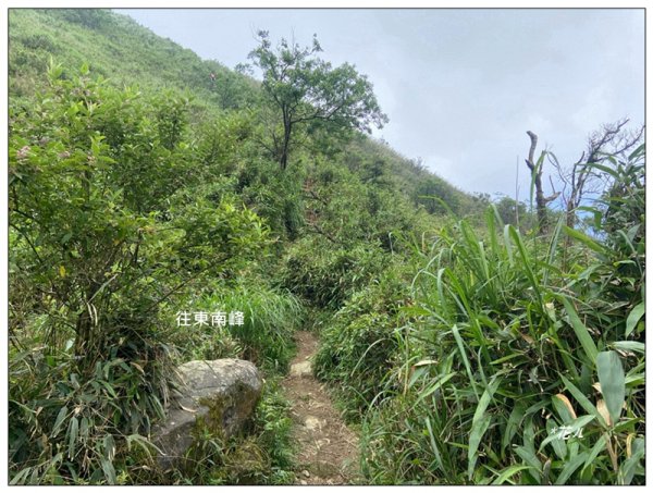 聖母峰、三角崙山 (抹茶山) 連走2802234
