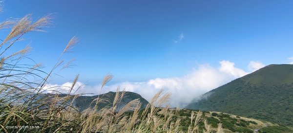 大屯山&小觀音山西峰差強人意的雲海/夕陽晚霞/芒花2337337