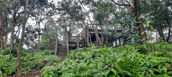 《苗栗》霧雨寒流｜三義三角山步道202512252969253