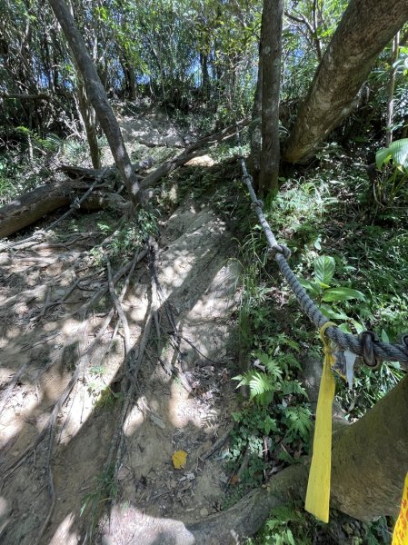 【二格山系】皇帝殿稜線2914123