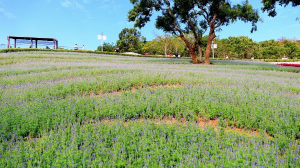 三層崎的呢喃2692130