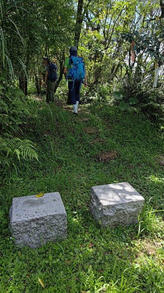 楊廷理古道2814616