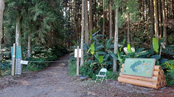 《新竹》幸福雲海｜鵝公髻山步道X山上人家202211051900099