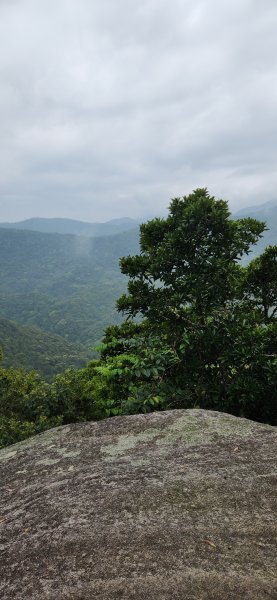 阿哲/小黑3031519