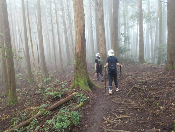 2025.07.05－高島縱走2828183