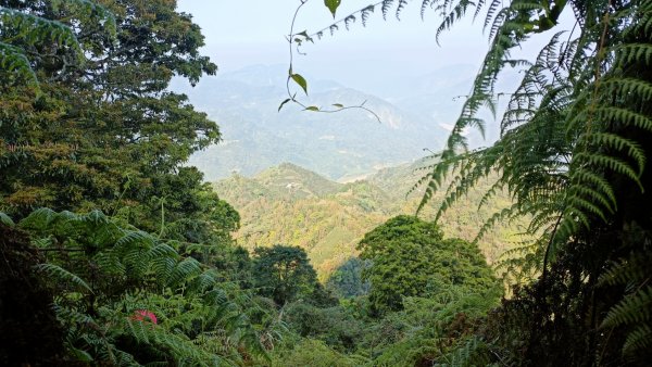 聖觀音峰(大佛山)小塔山 2022年3月20日1648370