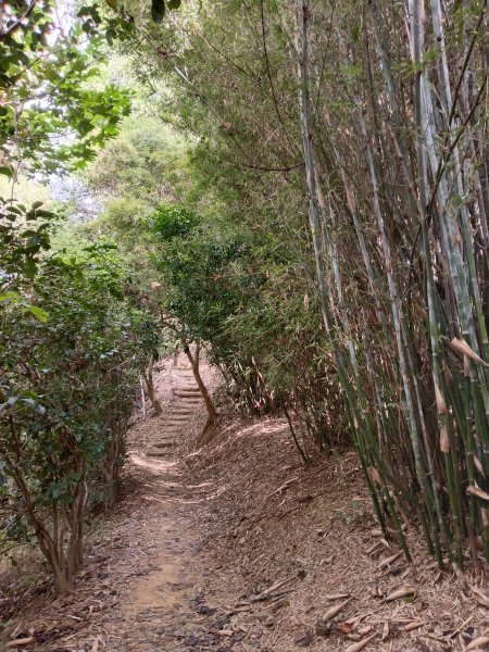 造橋鄉口山步道(老庄山+菜瓜窩山+造橋口山)2933698