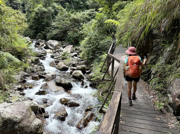 唐麻丹+蝴蝶谷O繞2887846