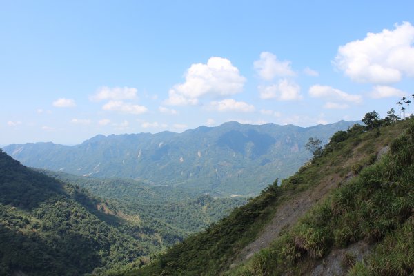 20201002高雄西阿里關山-茅山南峰1117680