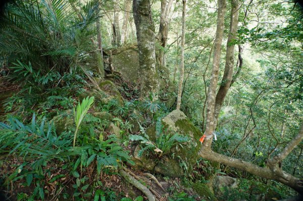 新竹 關西 馬武督山2914168