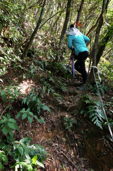 隆隆古道、卯里尖（荖蘭山）、隆隆山609314