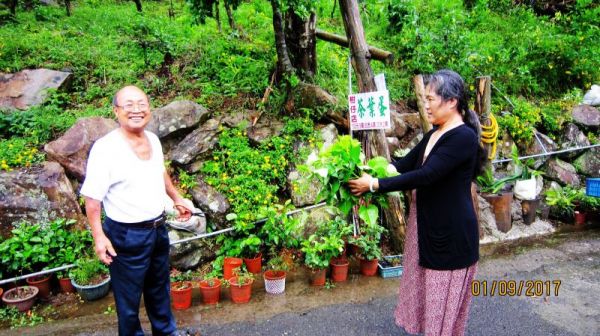 礁溪 跑馬古道 - 依山傍海 思古幽情 ...395693