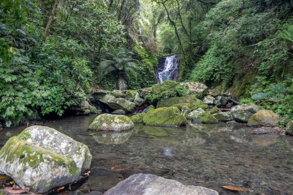 礁溪 五峰旗-跑馬古道3029603