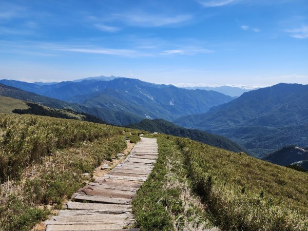 百岳No.35⛰合歡東峰2498805