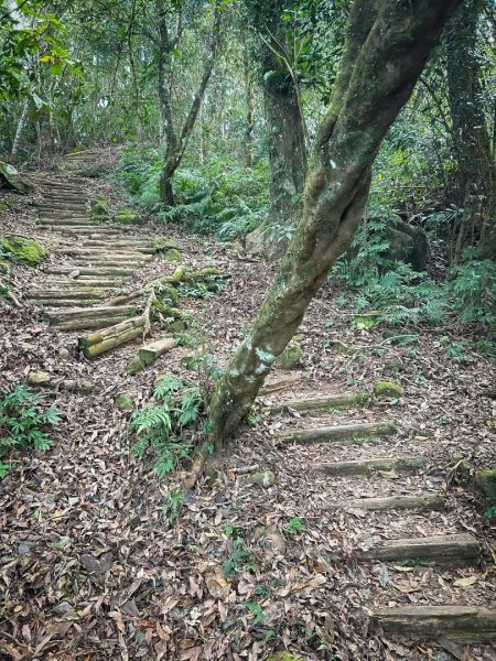 馬那邦山的雲海季2650895