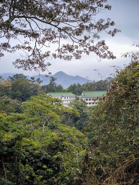 2025-03-08 汶水三山：金童山、汶水山、玉女山 連走2736561