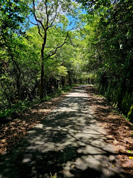 大山背麒麟步道 - 2024森遊竹縣皮皮獅Hike客任務2554902