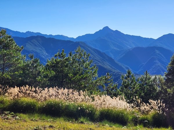 【中級山】馬武霸山，實至名歸的百岳觀景台2937742