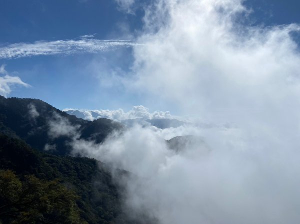 鳶嘴,捎來,橫嶺1958452