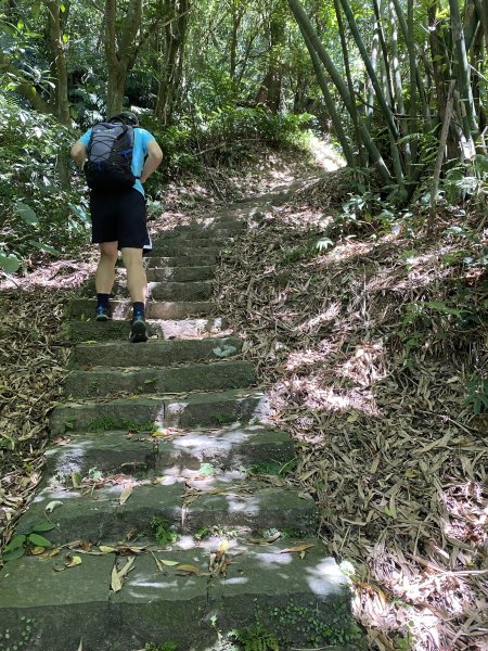 《探訪內雙溪三圳流向｜大崎頭步道 × 鵝尾山》2877193