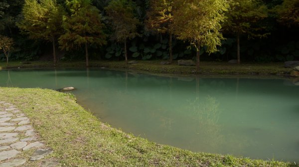 三層坪農塘教育園區登山健行趣1549022