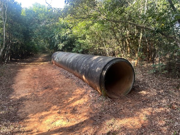 新竹新埔-蓮華山古道2628615