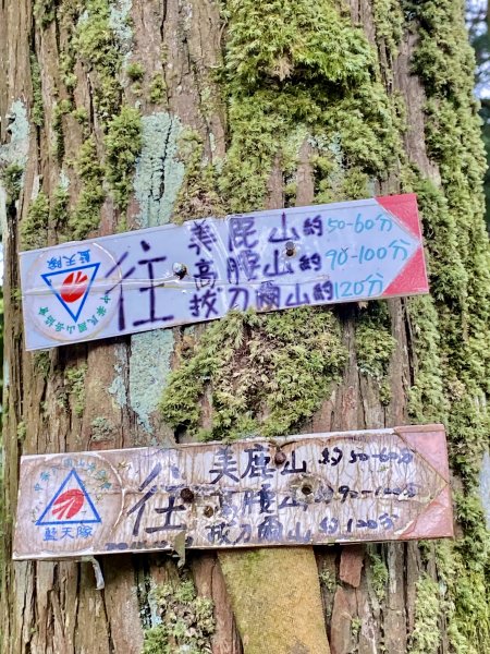 烏來三山O行（美鹿山、高腰山、拔刀爾山）    2023.8.52240830