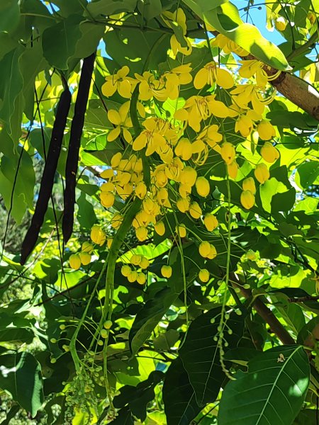 霄裡好風光 運動樂悠遊2827703