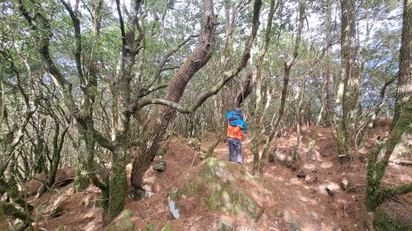 20250114東埔山；20250115二延平步道2693808