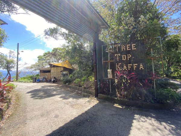 2025微笑山線大縱走尋寶集章任務-Ep.02【大棟山系】百年大榕樹2884755