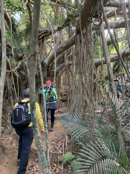 20250222屏東赤牛嶺-大山母山-小尖石山2719897