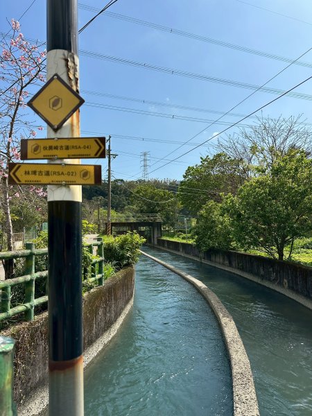 樟之細路三坑到關西3015334