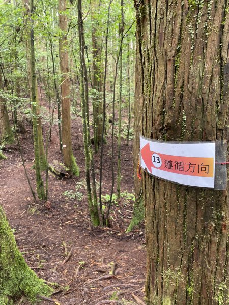 20250705-Ep.01野馬瞰山步道-2025森遊竹縣皮皮獅探險隊2851282