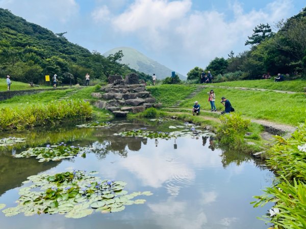 1130804面天山-向天山2567335