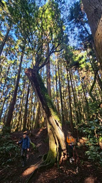 20260103民都有山北峰-主峰-西峰2977637