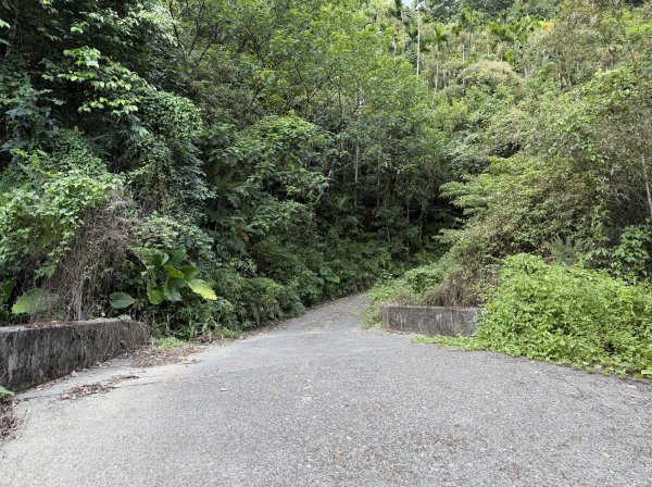 2025_1018 花蓮縣鳳林鎮鳳凰瀑布2921377