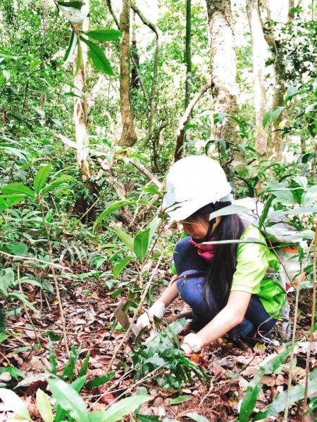 童軍團手作步道體驗in大坑5-1步道580893