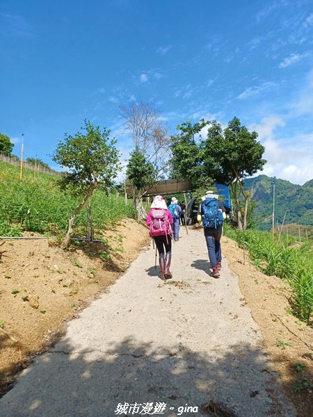 【南投信義】望鄉部落抬頭見玉山。 獵人古道連走、望美山、瓊山2274311