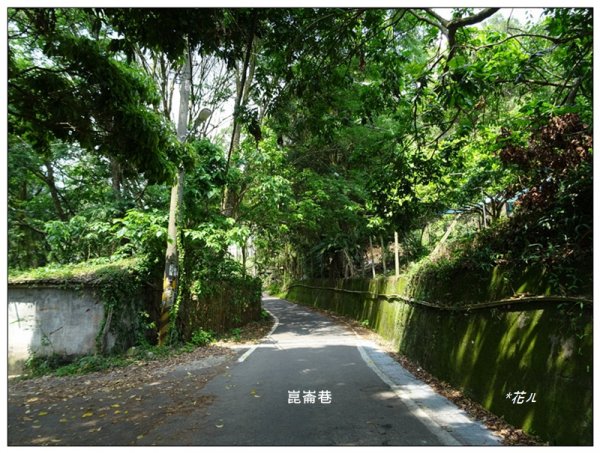 北打鐵坑山(台中、和平)1689411
