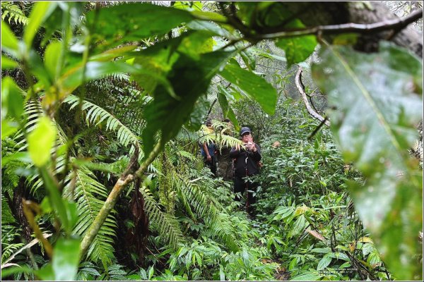 萬人山-2023年11月12日2347838