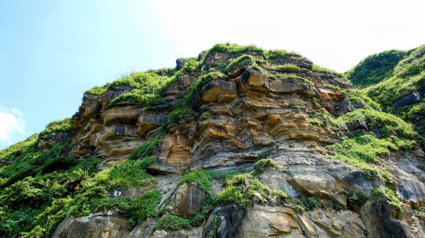和平島(含阿拉寶灣)2821349