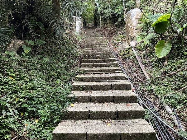 [微笑山線_ 第十段] 2025_0914 五分山系_菁桐煤礦段2889840