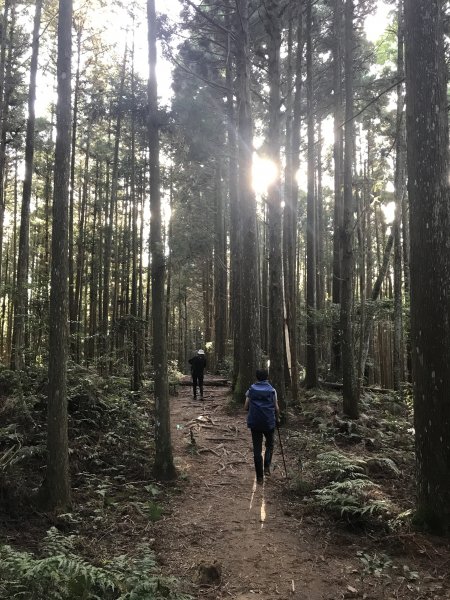 登山野營兩相宜~高島縱走1488844