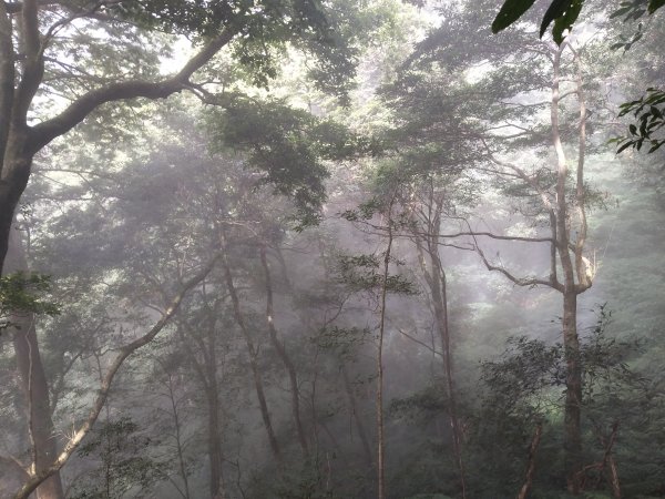 北得拉曼步道內鳥嘴山O行縱走1497756