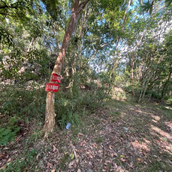 20251012_八里灣山（花蓮小百岳）2941307