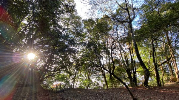 苗栗南庄加里山大坪線雲海上的聖誕節野餐趴1217136