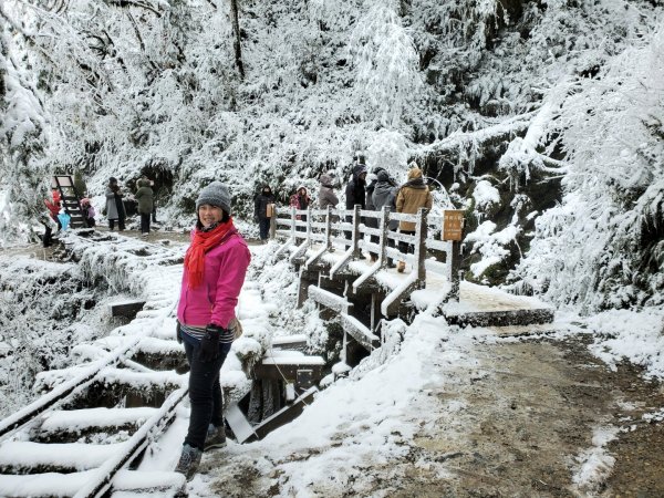 110年1月8日太平山賞雪1233679